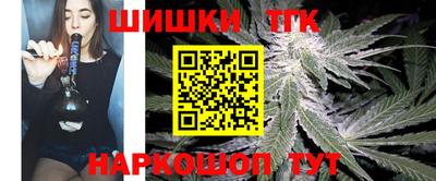 соль ск Партизанск