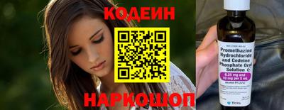 соль ск Партизанск