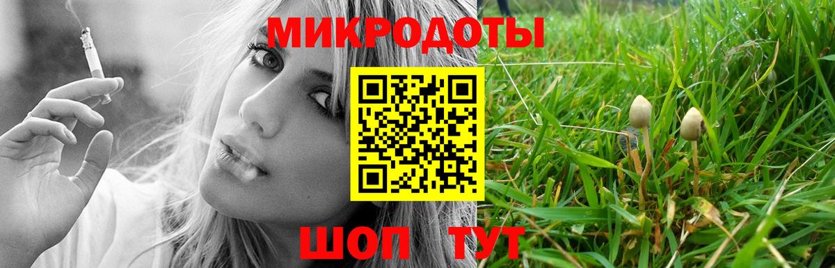 Псилоцибиновые грибы Magic Shrooms Черняховск