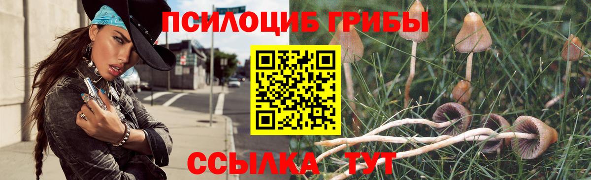 Галлюциногенные грибы MAGIC MUSHROOMS  Вход с VPN  Черняховск 